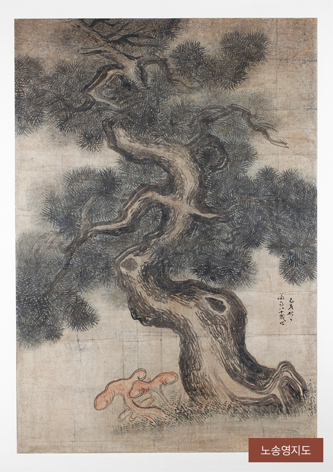 노송영지도